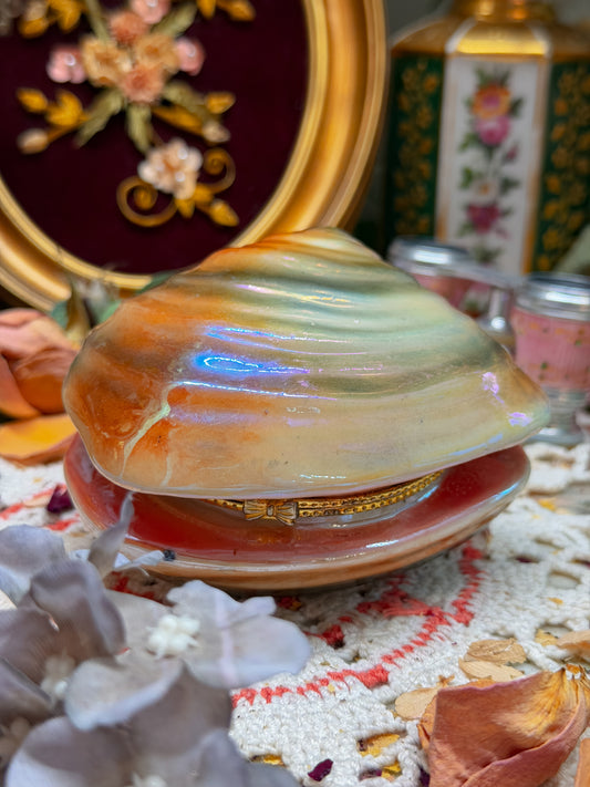 Iridescent shell stash✨