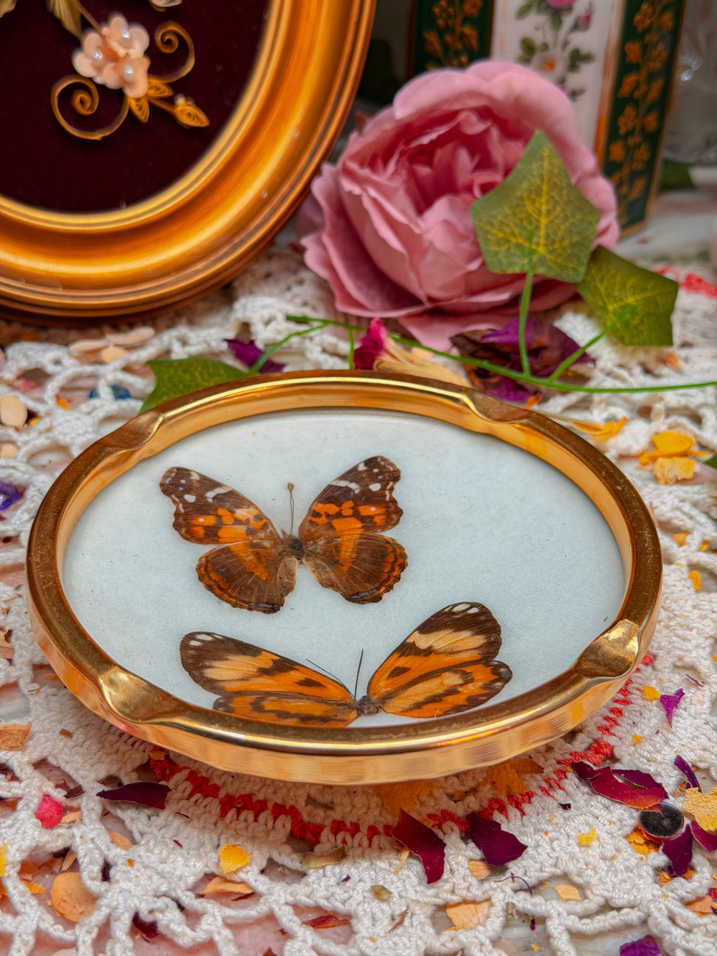 Real butterfly gilted metal ashtray✨