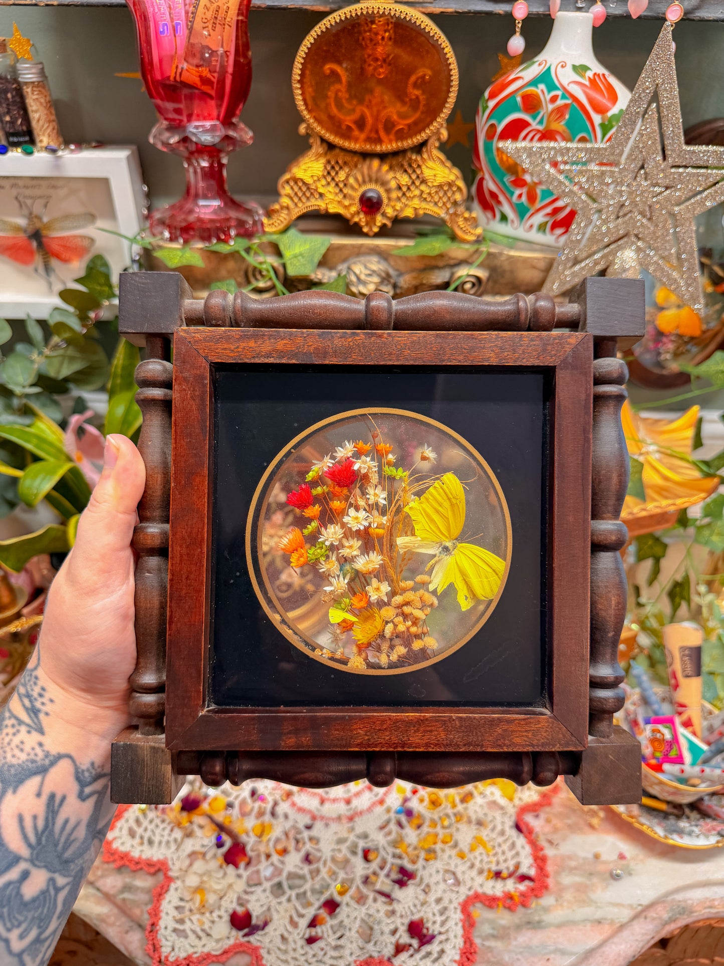 Pressed floral taxidermy butterfly shadow box✨