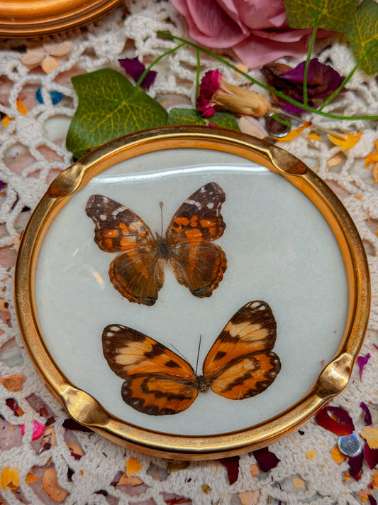 Real butterfly gilted metal ashtray✨