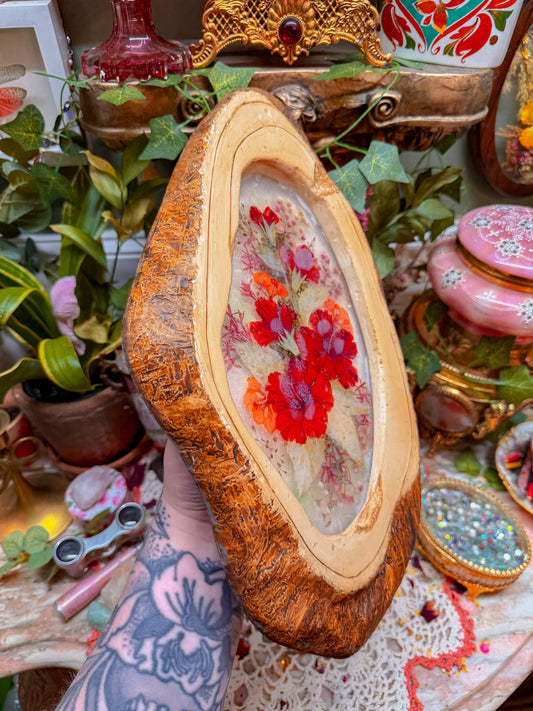 Pressed floral in wood frame✨