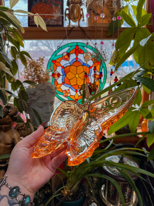 ✨Carnival butterfly ashtray✨