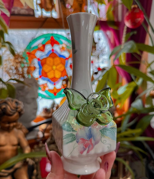 Aynsley orchids and butterfly✨