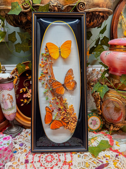 Vintage real butterfly bubble glass wall art✨
