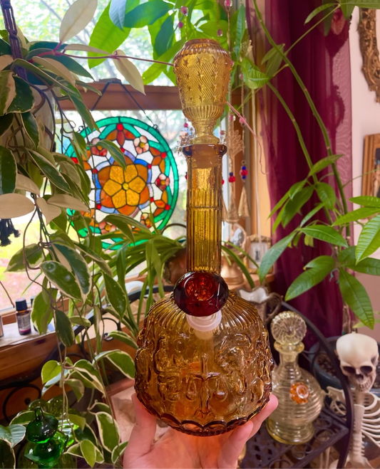 Amber Empoli zodiac✨