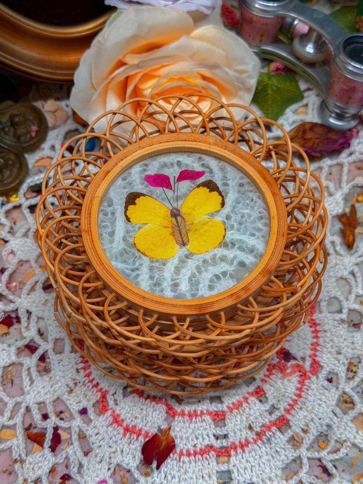 Real butterfly bamboo coasters✨