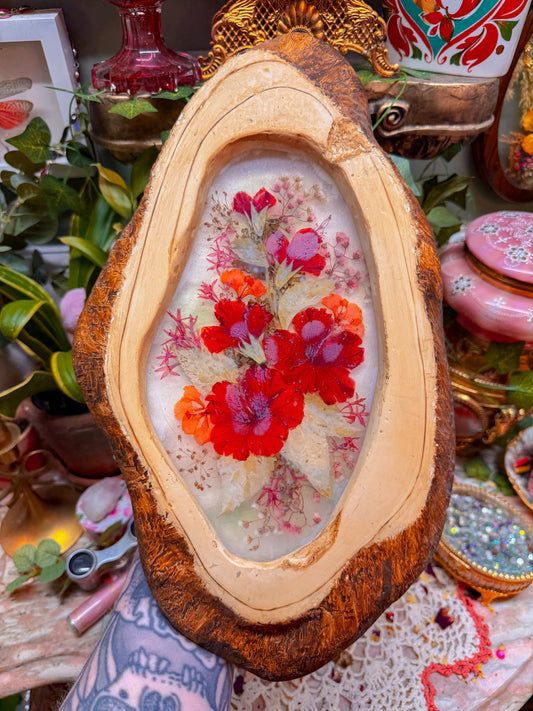 Pressed floral in wood frame✨