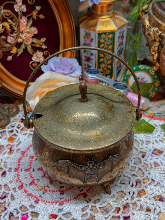 Brass cauldron with bat🕷️
