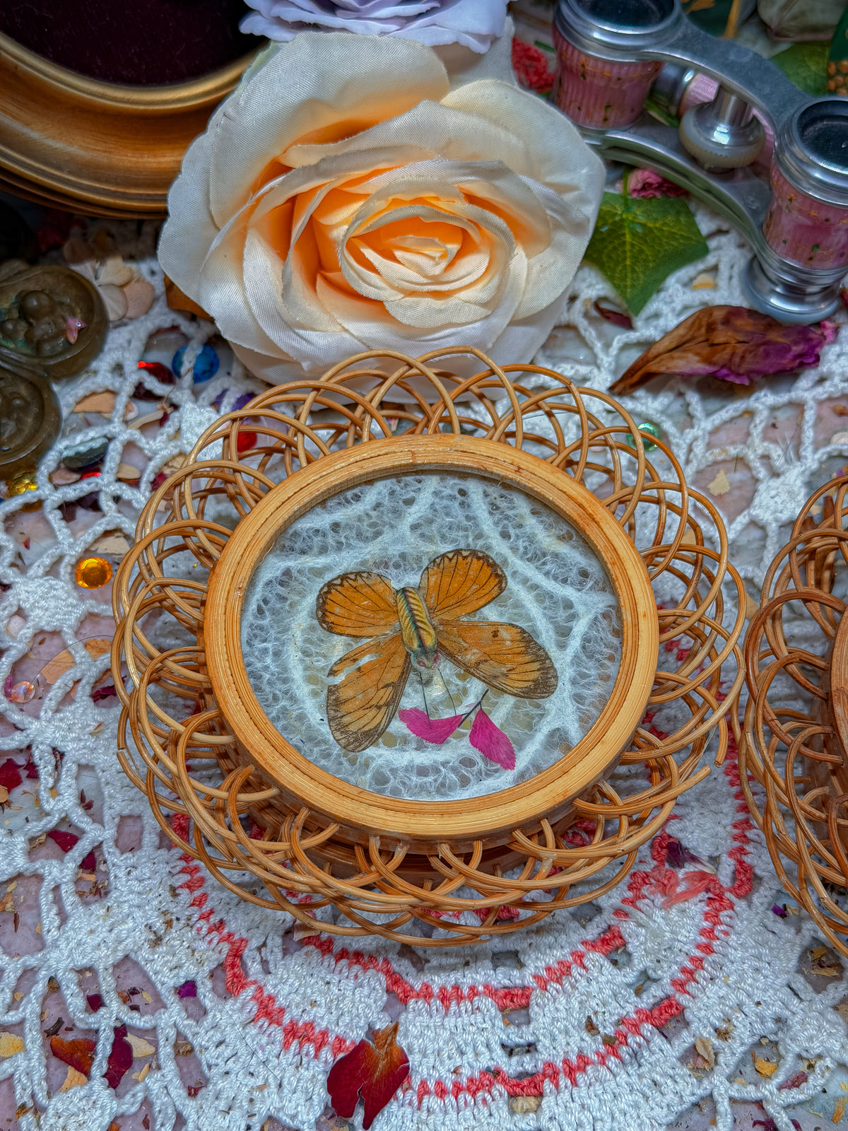 Real butterfly bamboo coasters✨