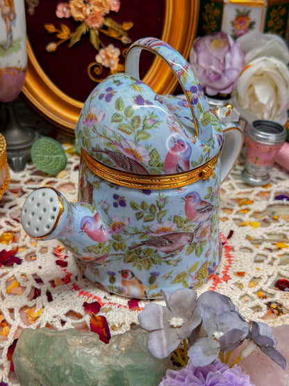Whimsy watering can stash jar✨