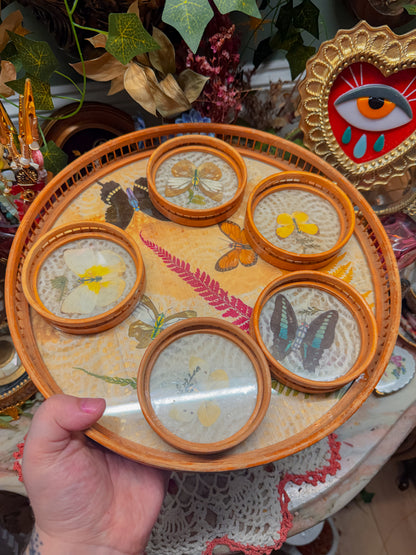 Bamboo pressed flower and real butterfly coaster and tray vintage set✨