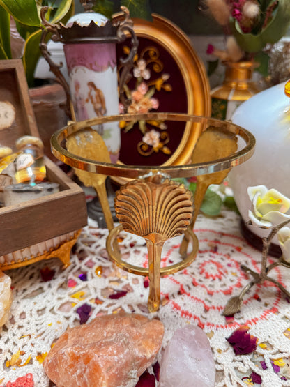 Bristol and brass floral and stand✨