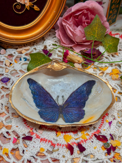Butterfly shell ashtray✨