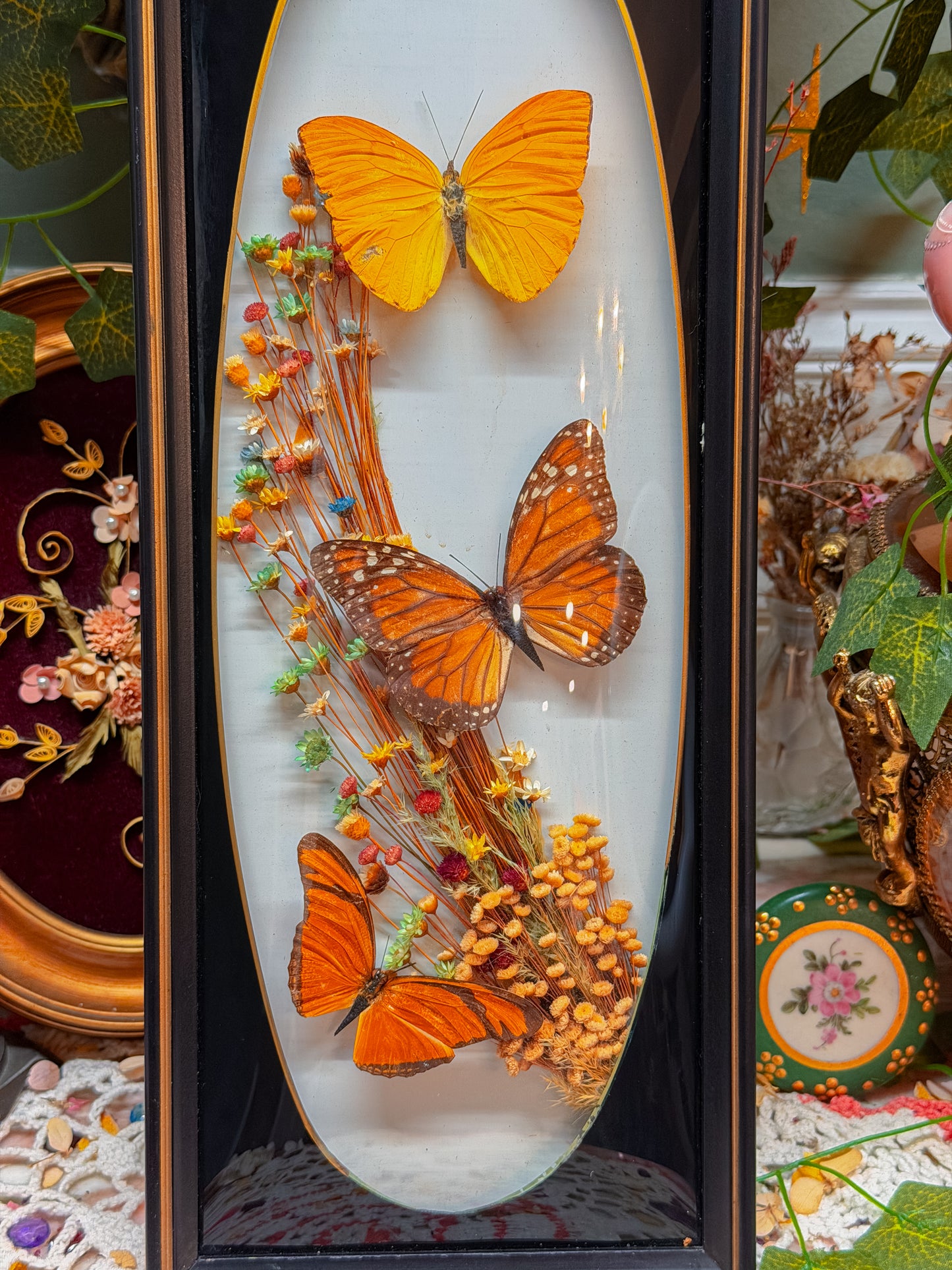 Vintage real butterfly bubble glass wall art✨