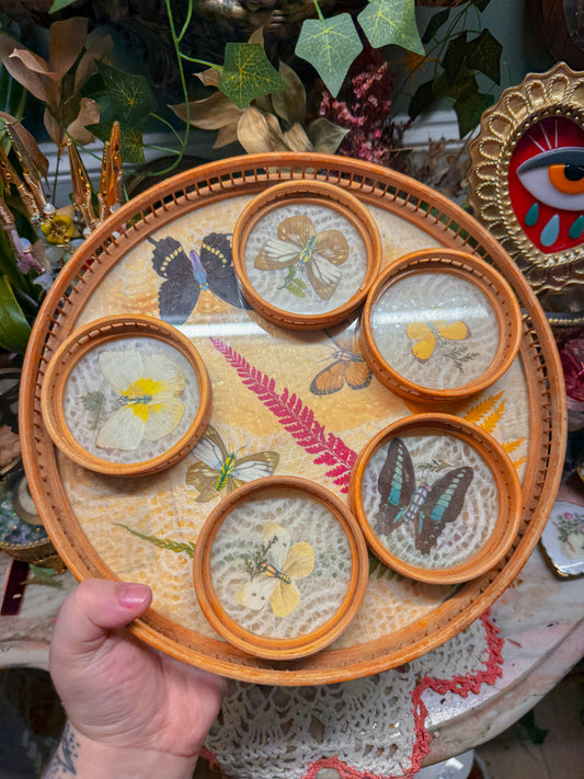 Bamboo pressed flower and real butterfly coaster and tray vintage set✨