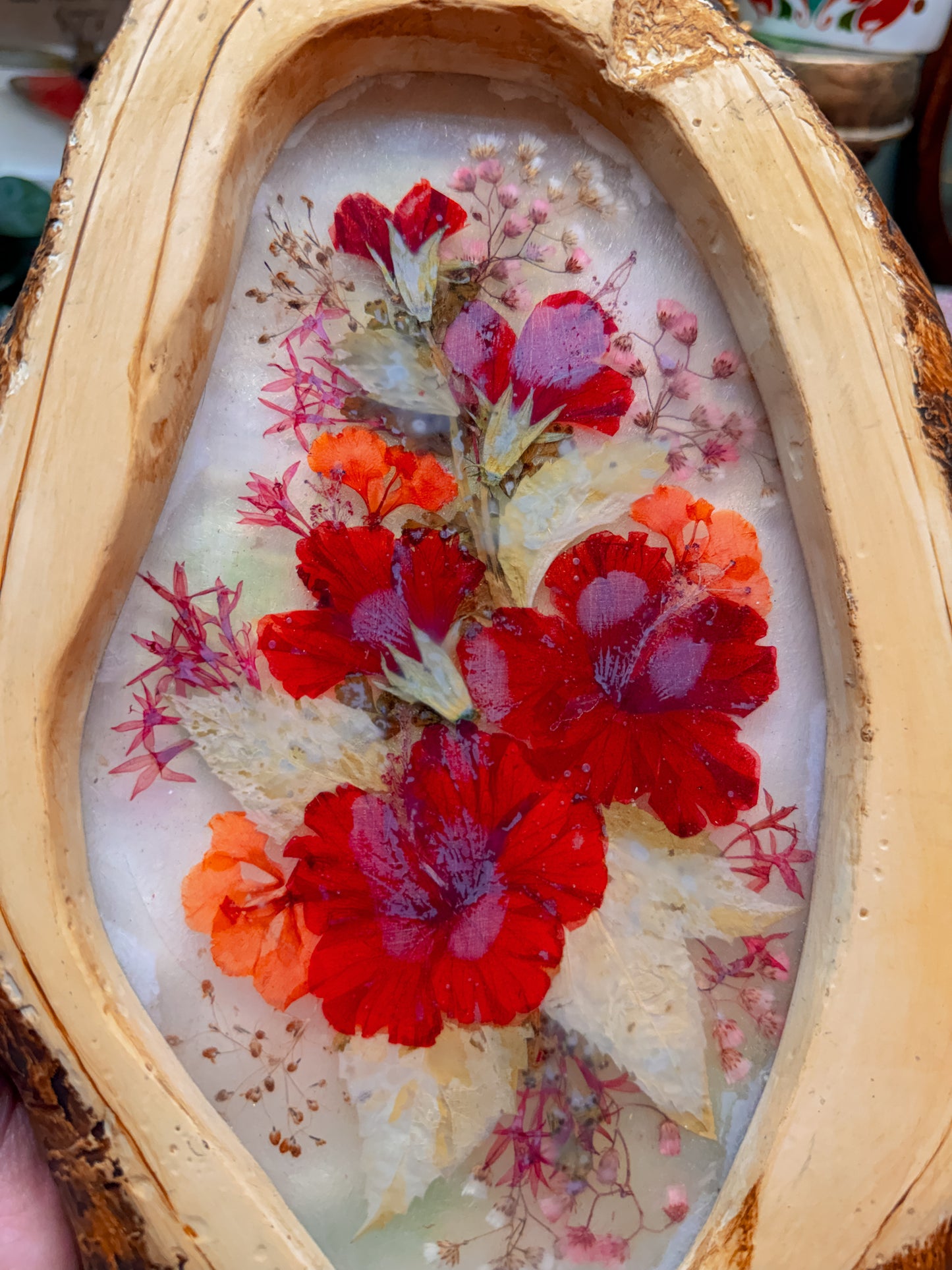 Pressed floral in wood frame✨