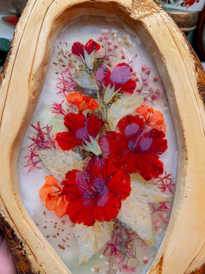 Pressed floral in wood frame✨
