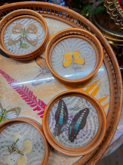 Bamboo pressed flower and real butterfly coaster and tray vintage set✨