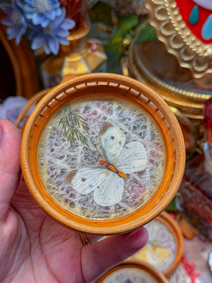 Bamboo and real butterfly coasters and basket✨