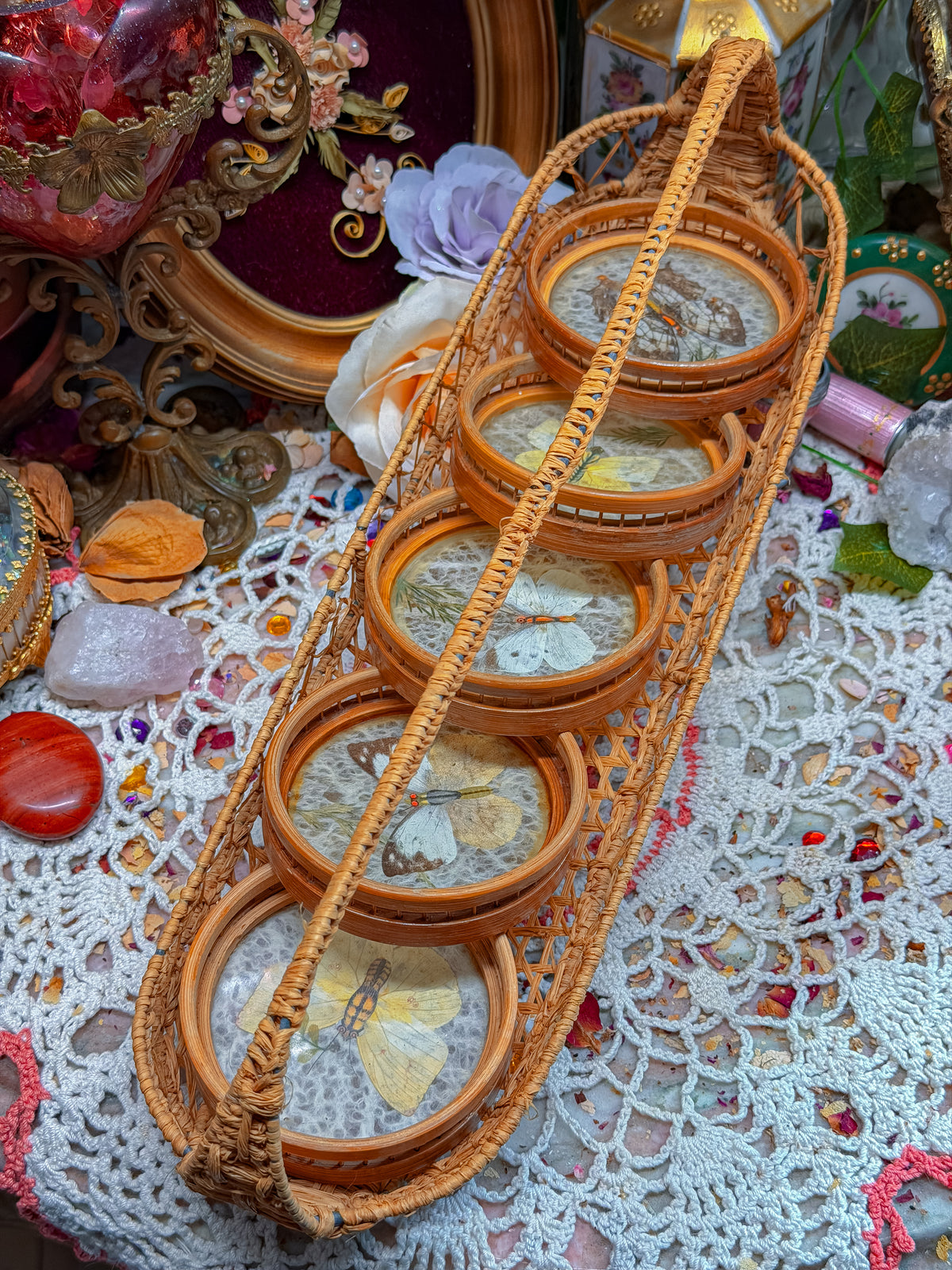 Bamboo and real butterfly coasters and basket✨