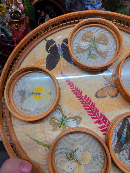 Bamboo pressed flower and real butterfly coaster and tray vintage set✨