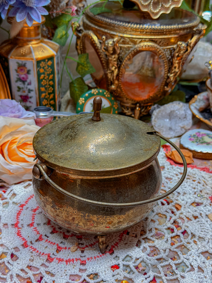 Brass cauldron with bat🕷️