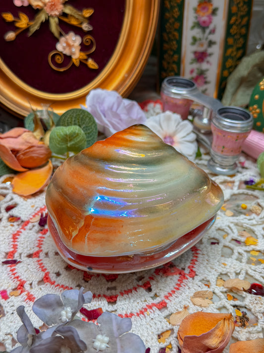 Iridescent shell stash✨