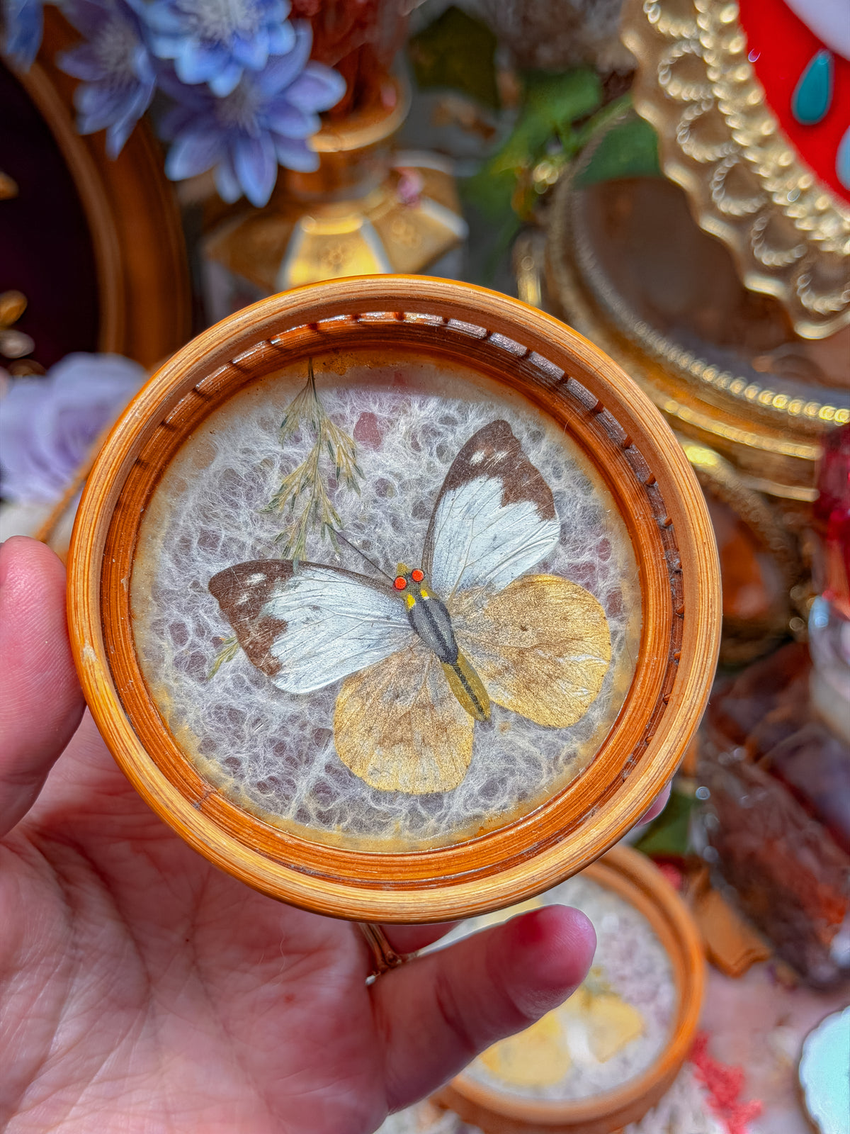 Bamboo and real butterfly coasters and basket✨