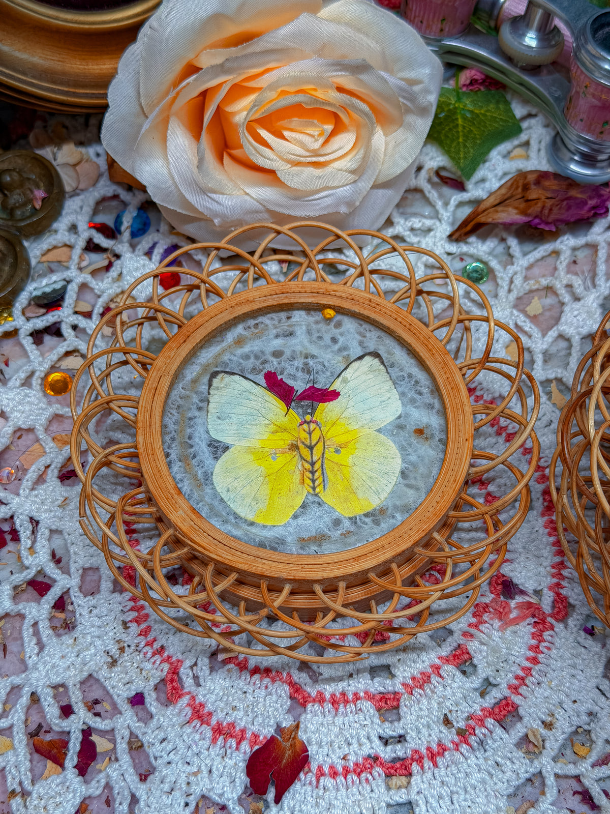 Real butterfly bamboo coasters✨