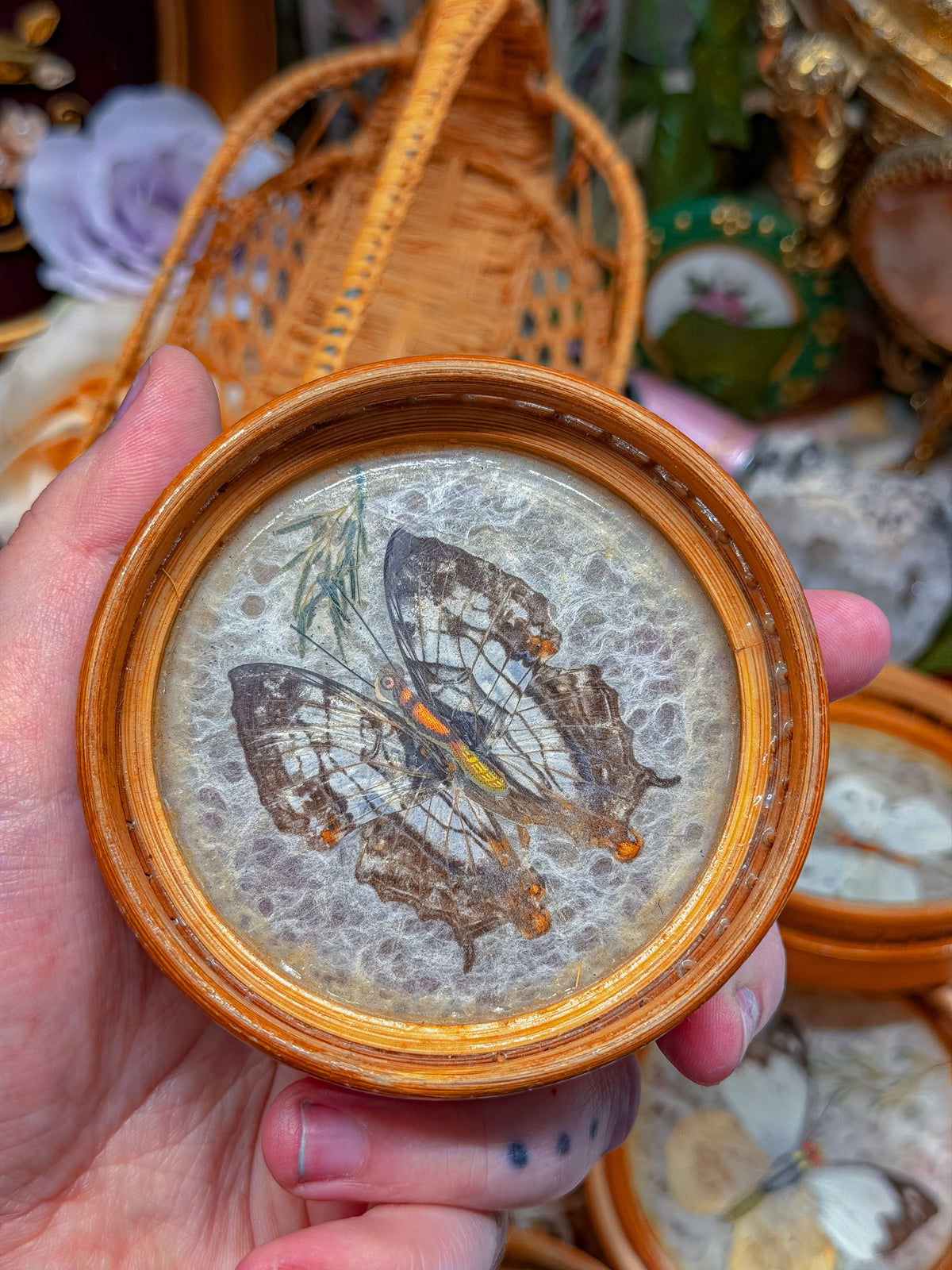 Bamboo and real butterfly coasters and basket✨