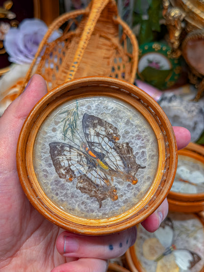 Bamboo and real butterfly coasters and basket✨
