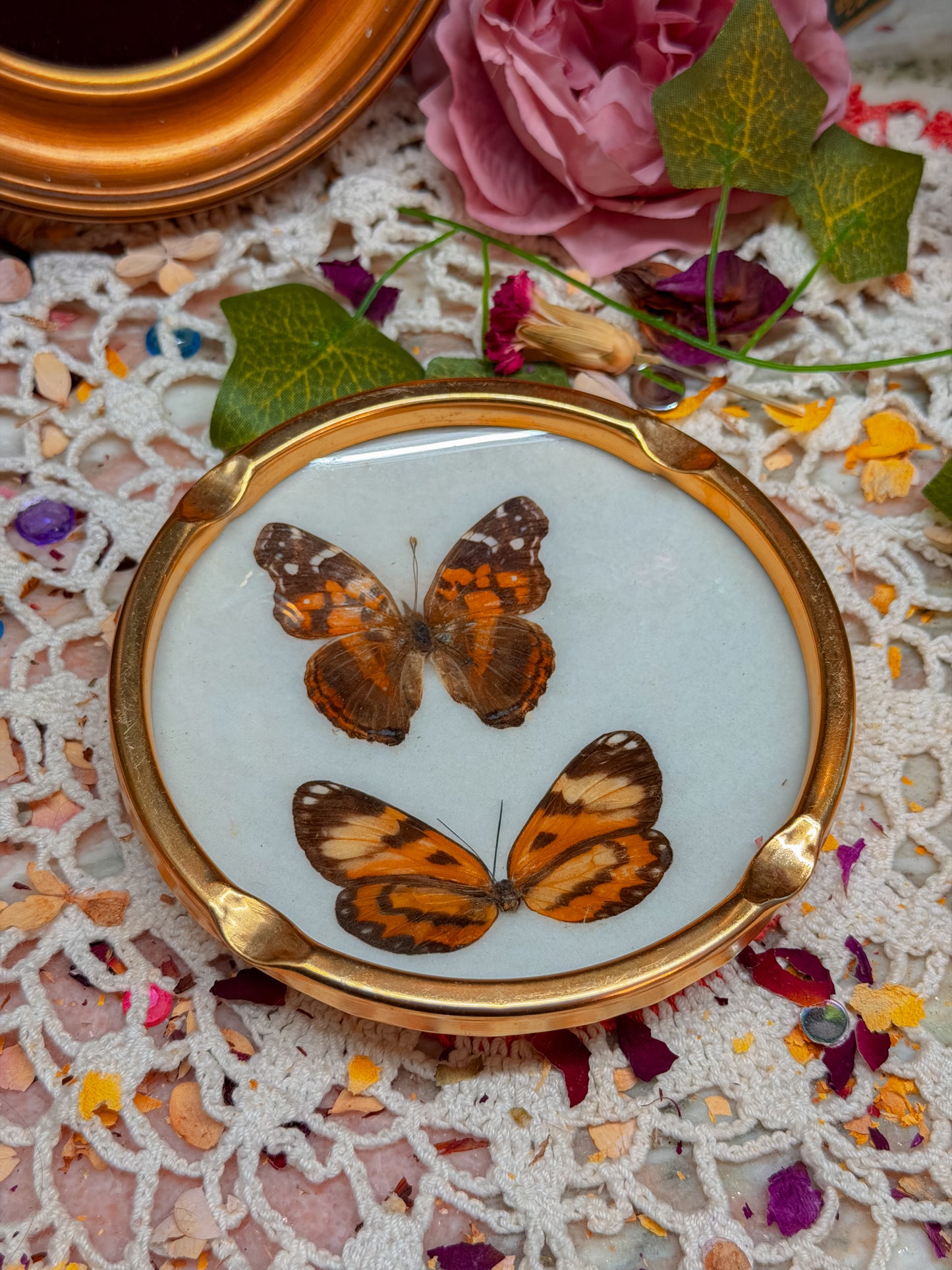 Real butterfly gilted metal ashtray✨