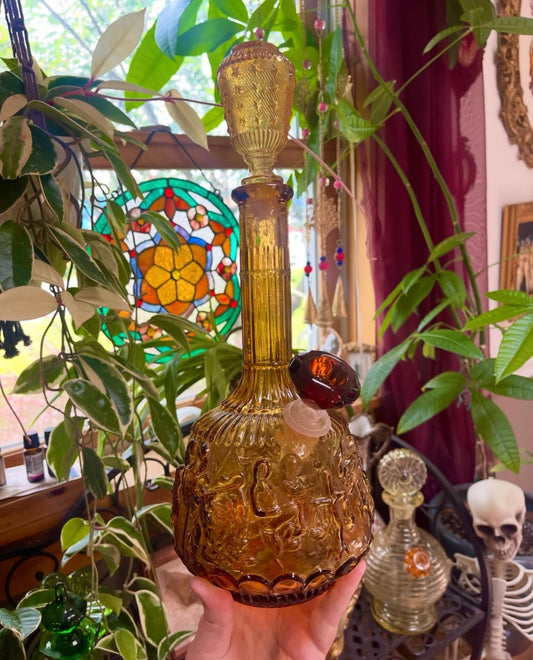 Amber Empoli zodiac✨