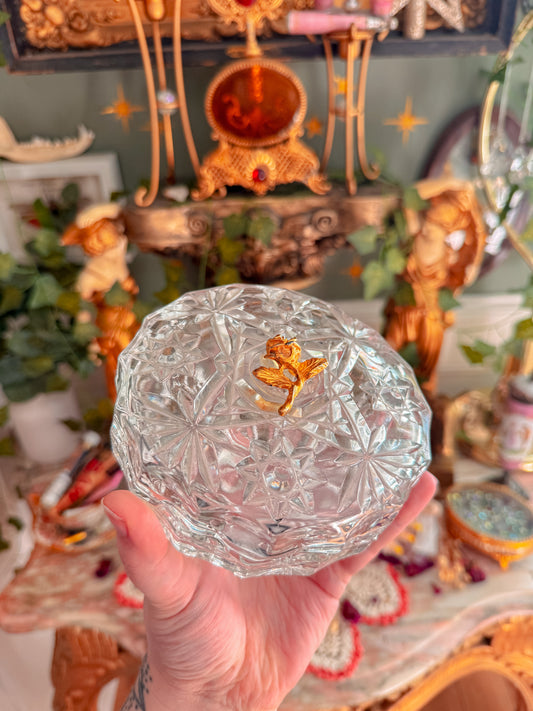 Cut glass stash✨