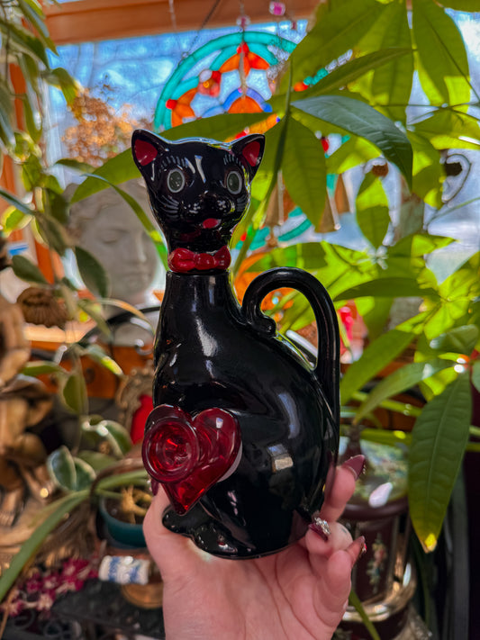 Shafford Kitty with bow tie✨