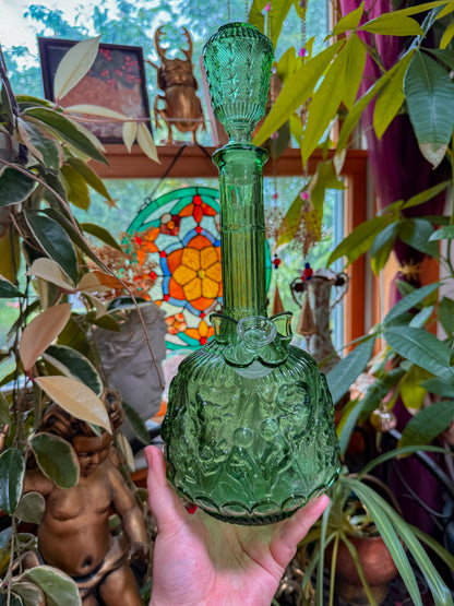 Green empoli zodiac✨
