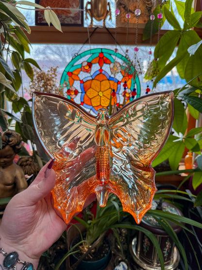 ✨Carnival butterfly ashtray✨