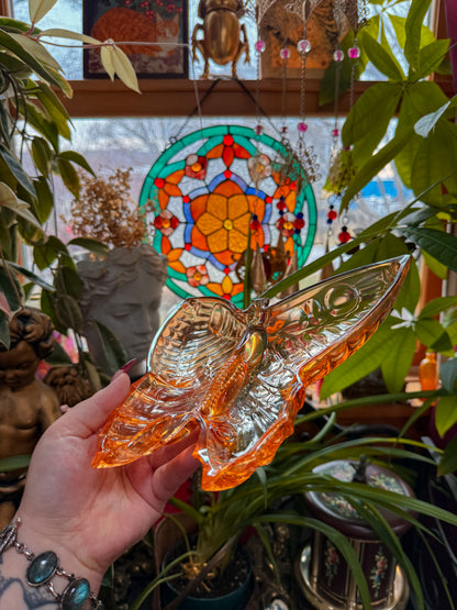 ✨Carnival butterfly ashtray✨